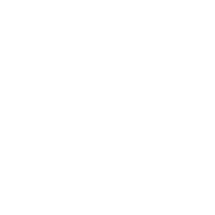 LOGO SOLEDIS